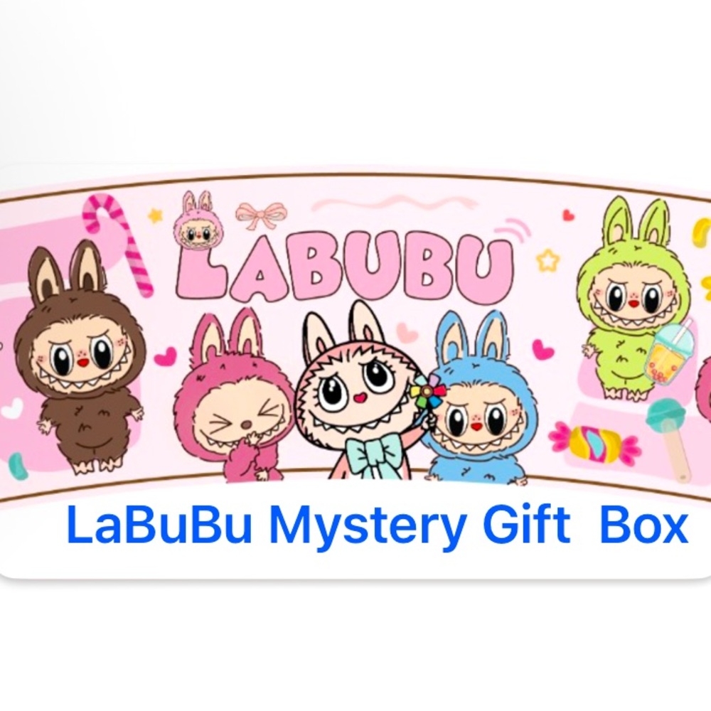 LABUBU MYSTERY GIFT 🎁 BOX 💞 NWOT